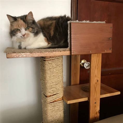 hang cat box on a metal pole|diy cat tower.